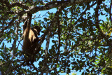Parque Nacional Rincon de la Vieja