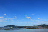 Tamarindo