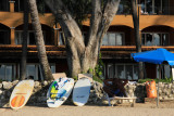 Tamarindo