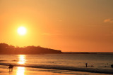 Tamarindo