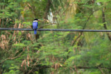 IMG_4386.JPG