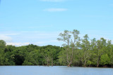 IMG_5412.JPG