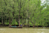IMG_5420.JPG