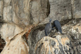 IMG_5438.JPG