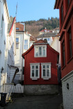 IMG_5827.JPG