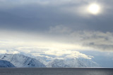 IMG_7350.JPG