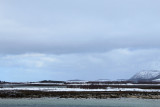 IMG_7445.JPG