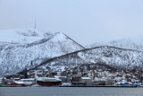IMG_7475.JPG