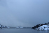 IMG_7499.JPG
