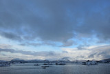 IMG_7500.JPG
