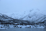 IMG_7504.JPG