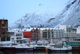 IMG_7537.JPG