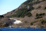 IMG_7628.JPG