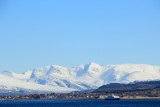 IMG_7650.JPG