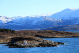 IMG_7651.JPG