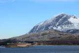 IMG_7664.JPG