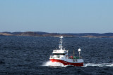 IMG_7675.JPG
