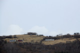 IMG_7737.JPG