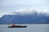IMG_7789.JPG