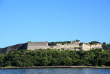 IMG_8156.JPG