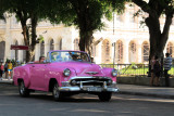 IMG_8345.JPG
