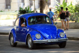 IMG_8347.JPG