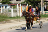 IMG_8421.JPG