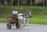 IMG_8579.JPG