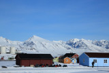 IMG_9936.JPG
