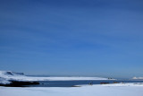 IMG_9937.JPG