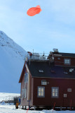 IMG_9946.JPG