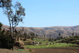 IMG_1906.JPG