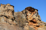 IMG_3067.JPG