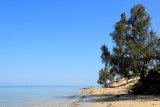 IMG_3300.JPG