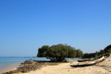 IMG_3301.JPG
