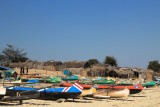 IMG_3383.JPG