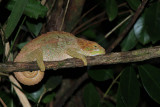 IMG_2472.JPG