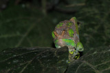 IMG_2478.JPG