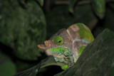 IMG_2481.JPG