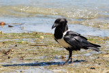 IMG_3367.JPG