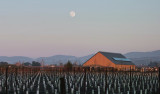 Moonrise cropped