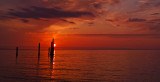 sunset with one gull