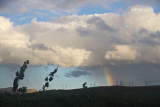 Rain-bolt