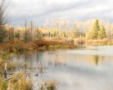 BeaverPond14.jpg