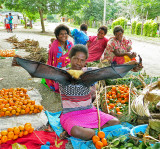 Fruit Bat for sale - Vanuatu