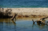 Solomon Islands