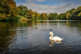 Charlottenburg Palace and gardens