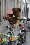 Travelling Teddy