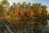reflection pond1.JPG