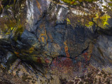 Colors of time, Baranof Island, Alaska, 2013